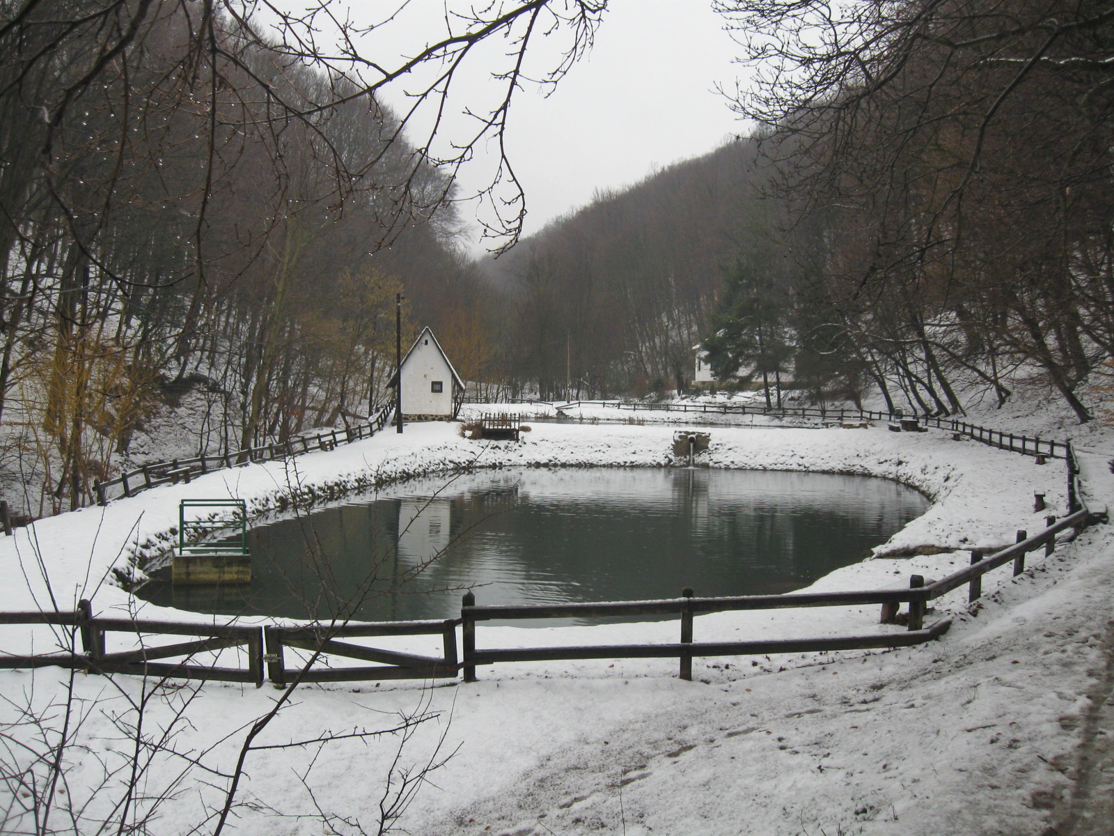 2013 02 23 mecseknádasd-Zobákpuszta 009