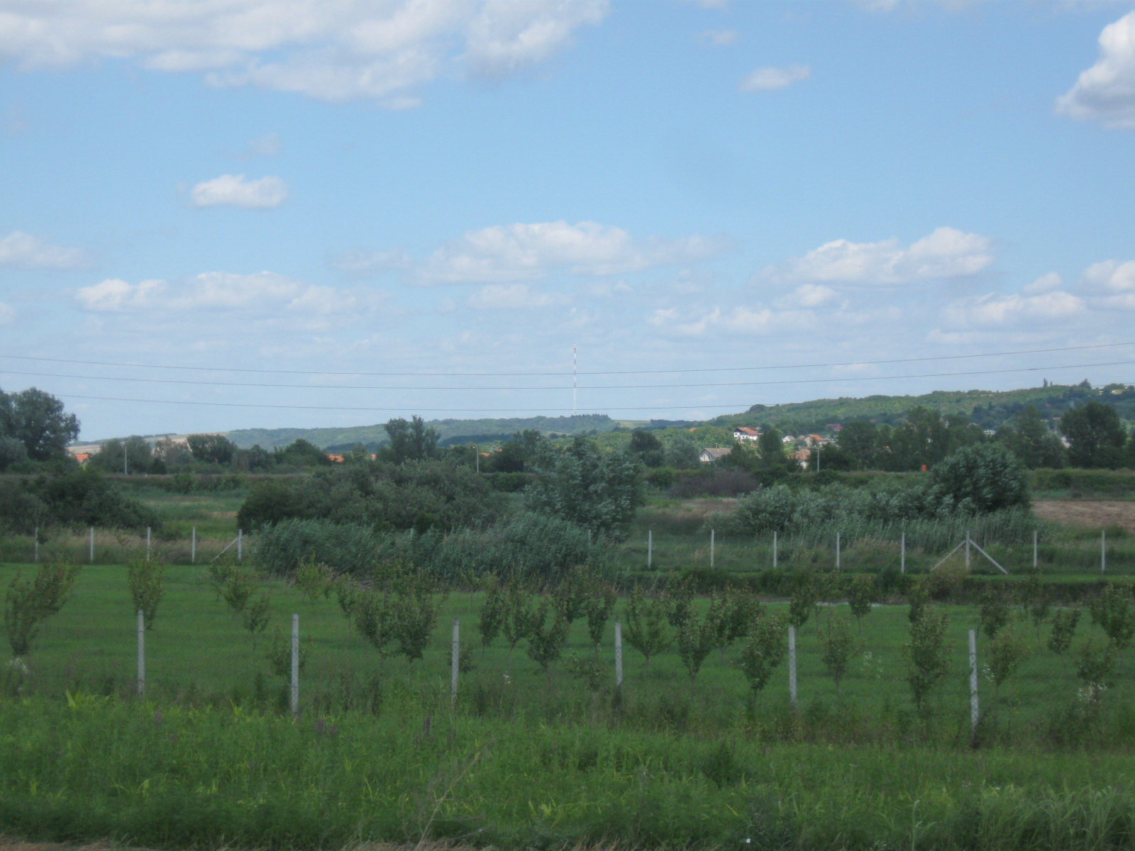 2013 07 01 Illocska-Pélmonostor 071