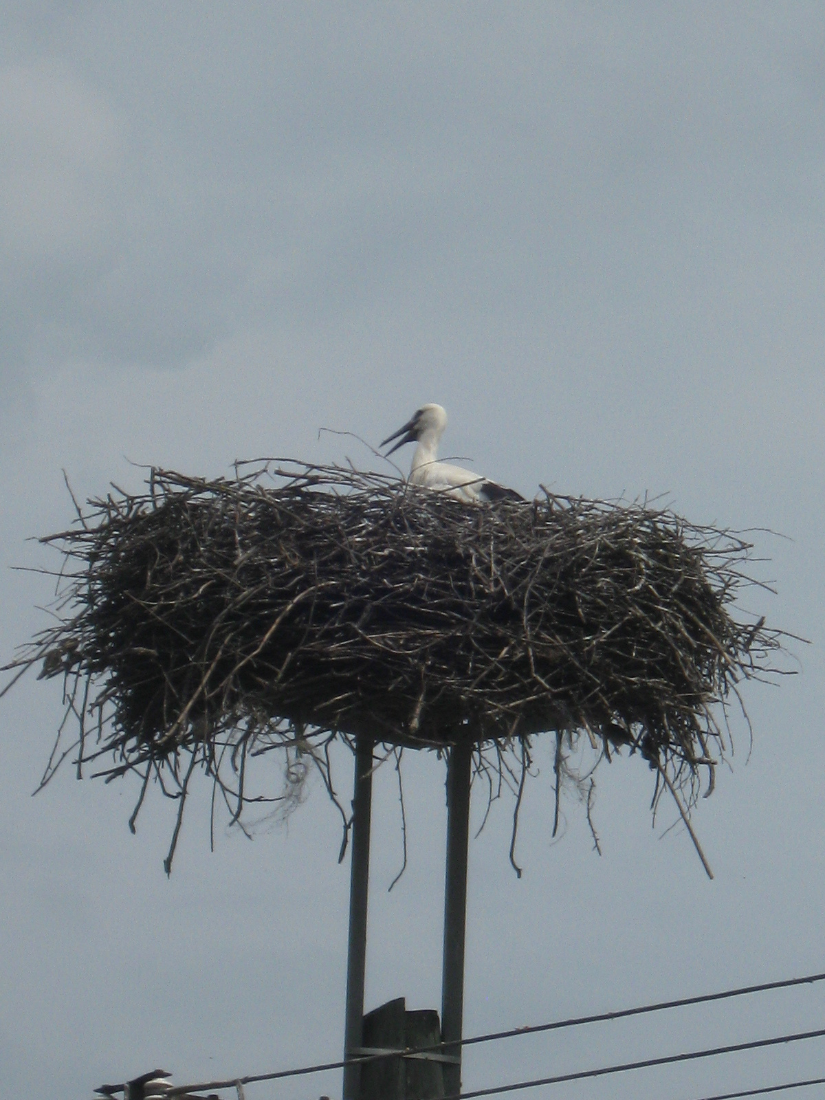 2013 07 13 Ormánság bicikli 068