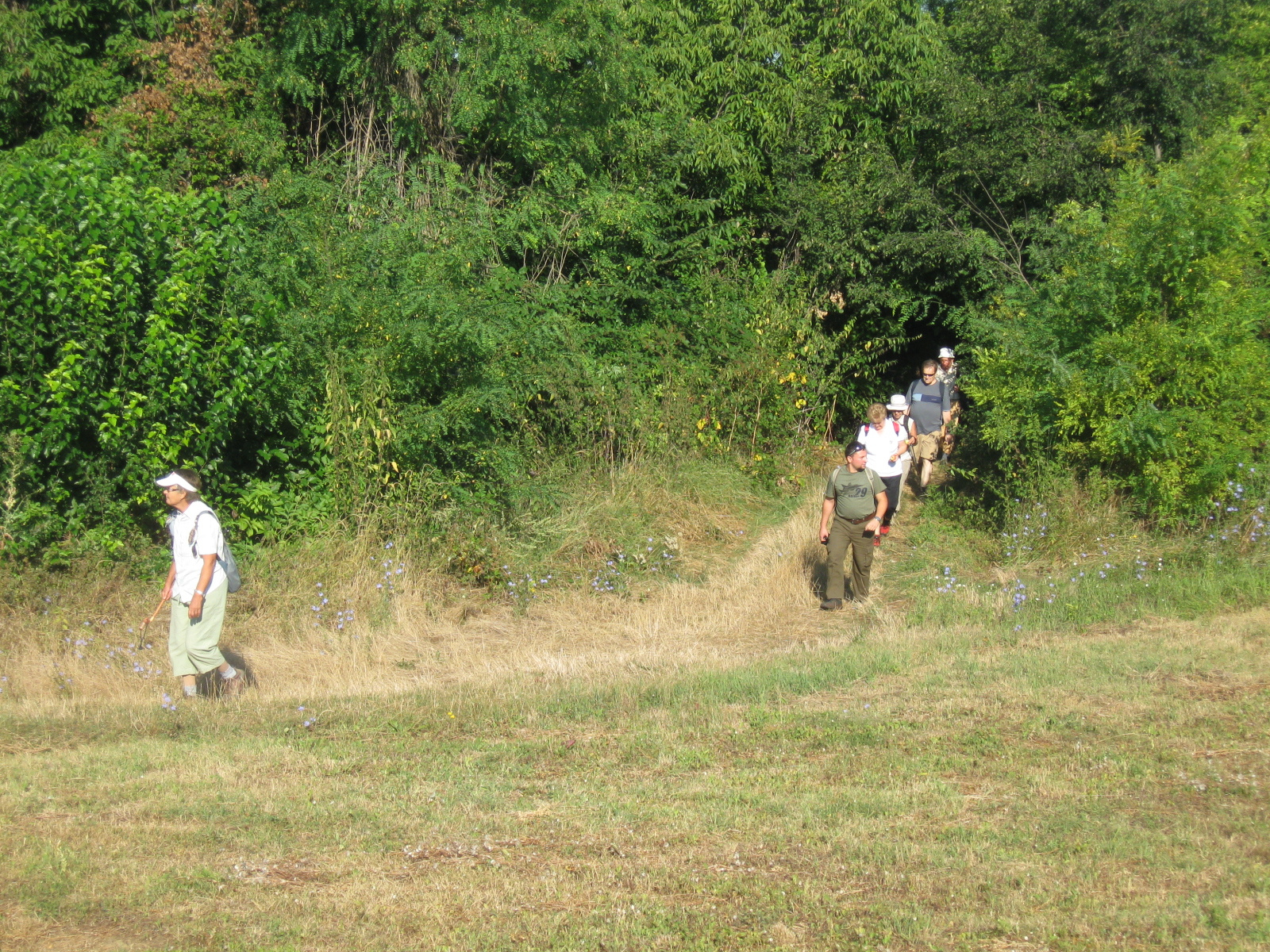 2013 08 11 Hírd-Szederkény 010