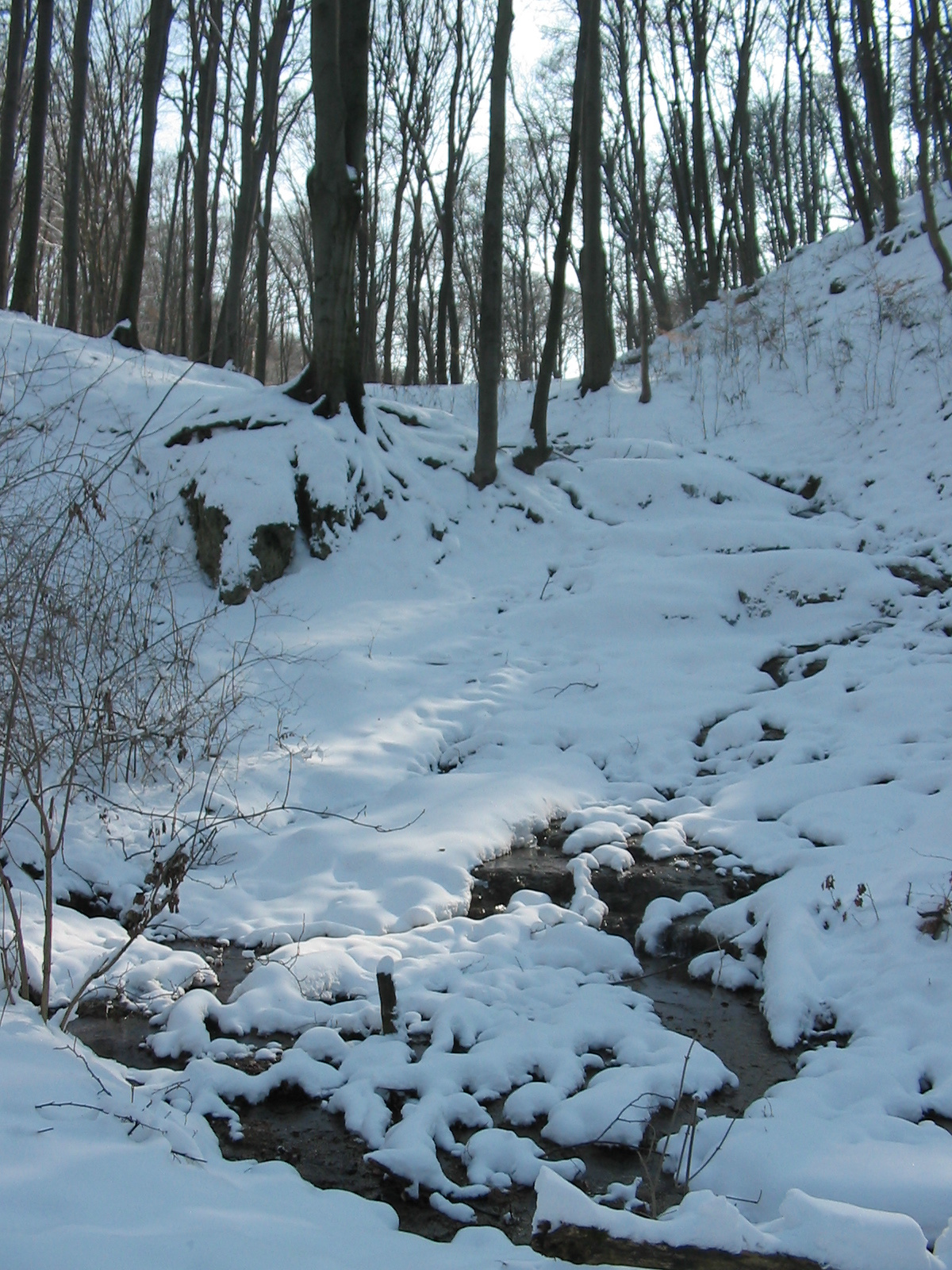 2010 02 09 Komló-Pécsbánya 060