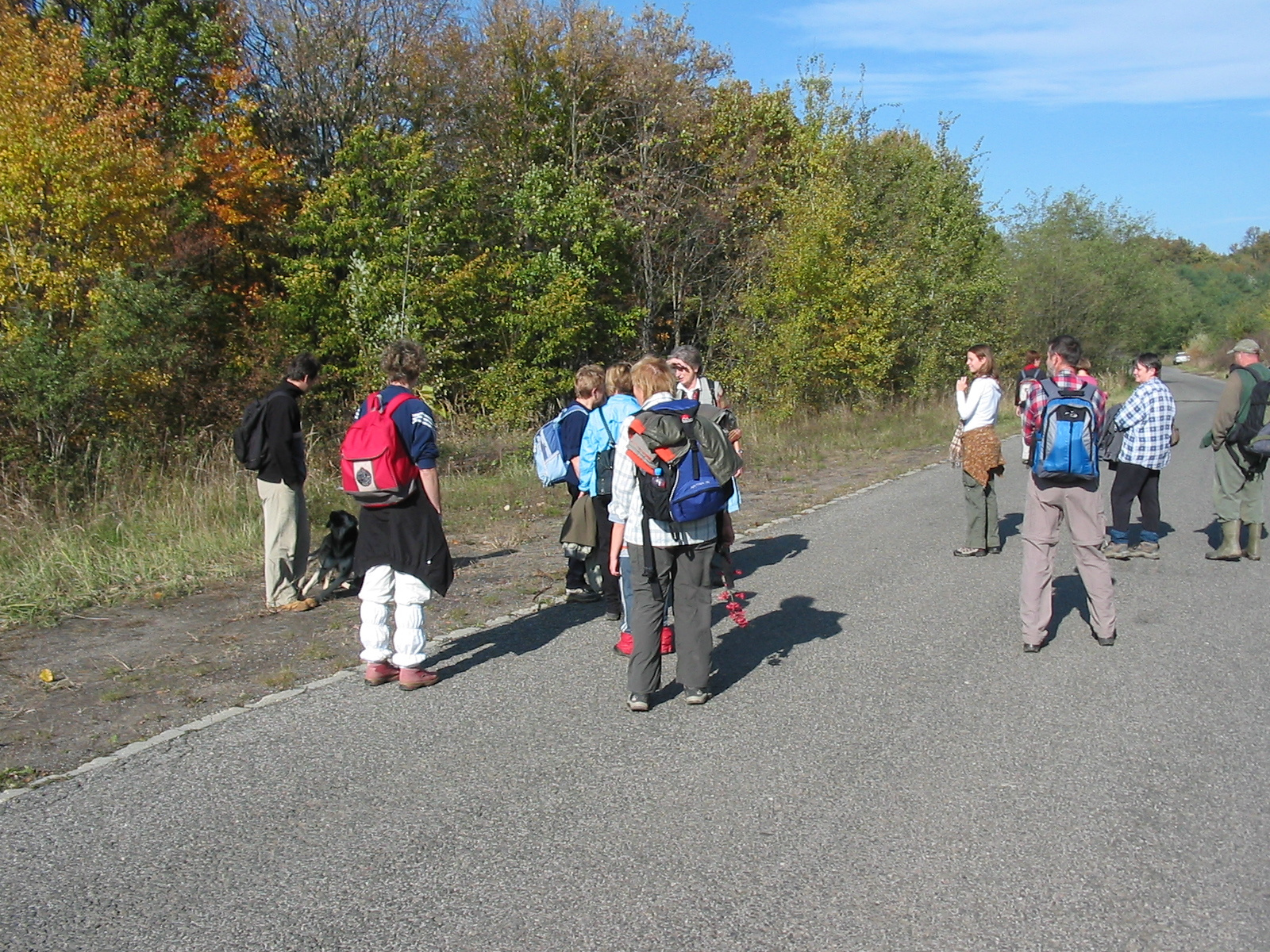 2010 10 23 Hosszúhetény -Szőlő 012