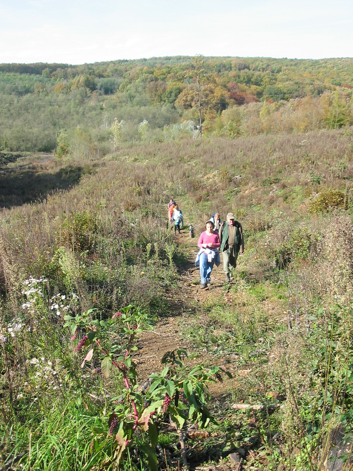 2010 10 23 Hosszúhetény -Szőlő 058