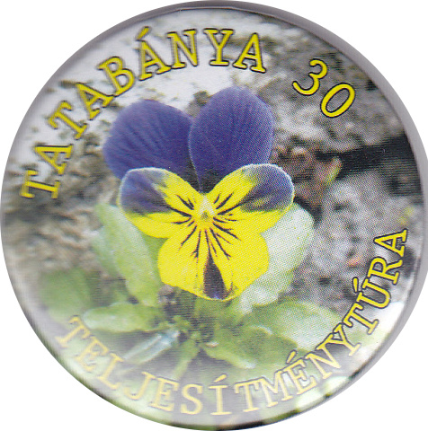 tatabanya30 2012