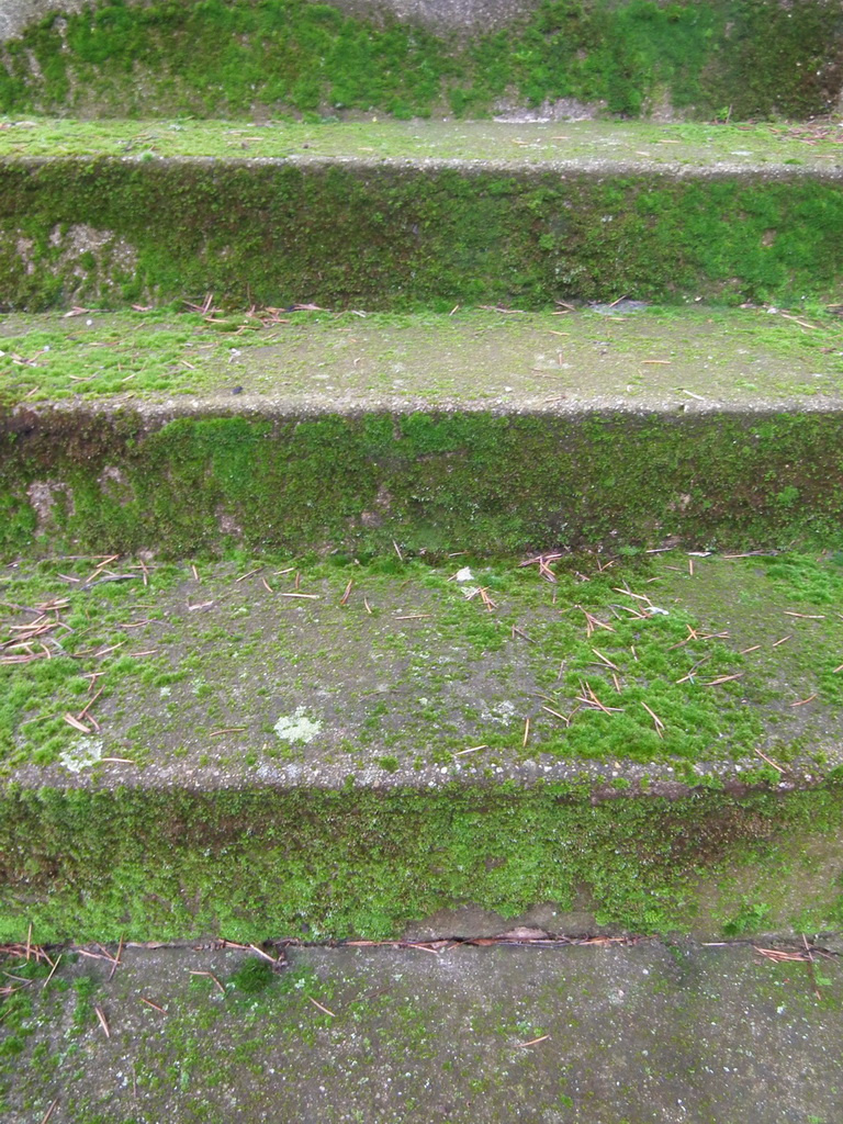 Zöld lépcső