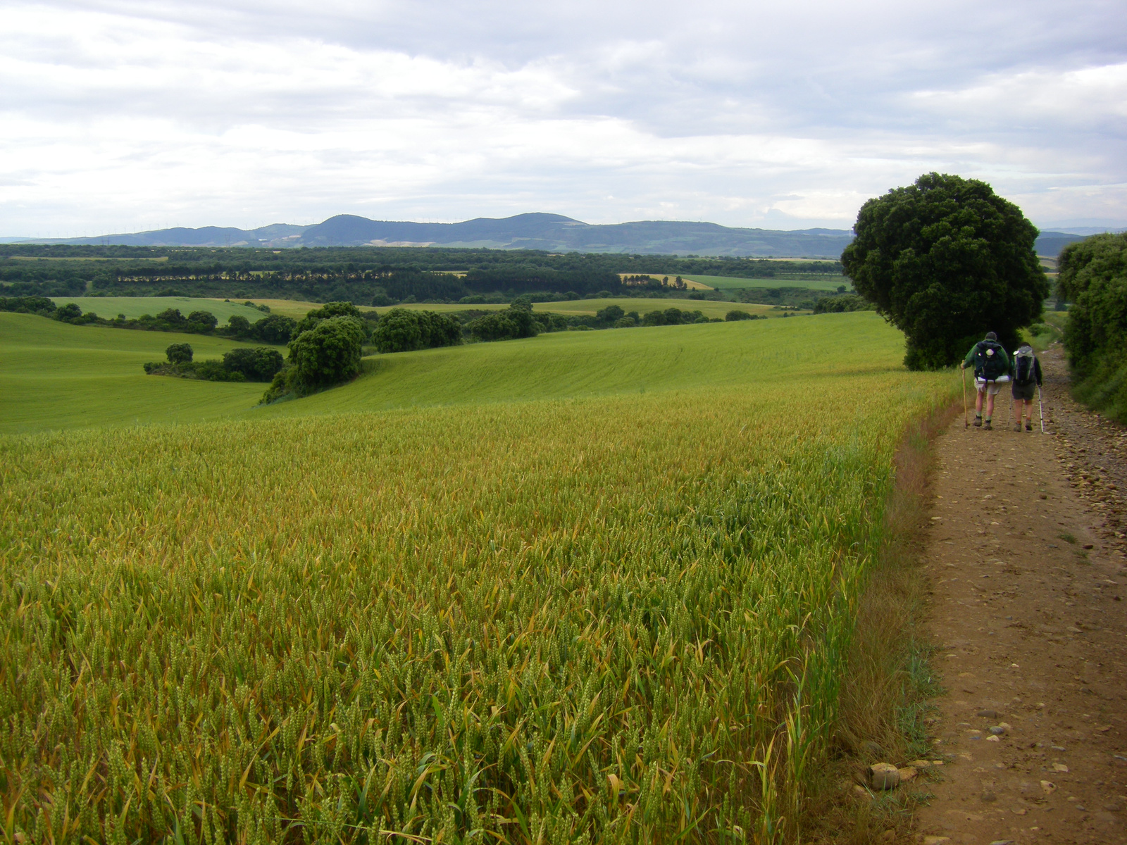 Cizur Minor után