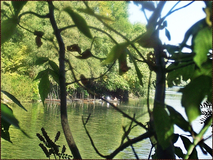 A Tisza Balsánál