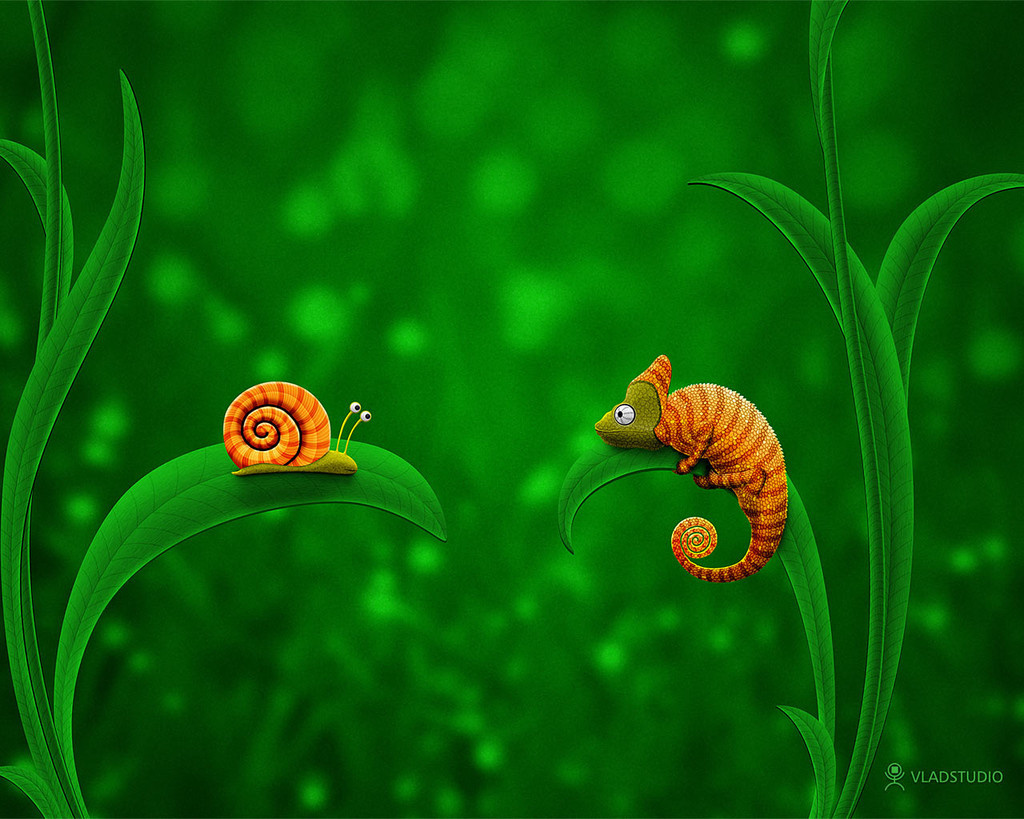 vladstudio snail and chameleon 1280x1024 121846