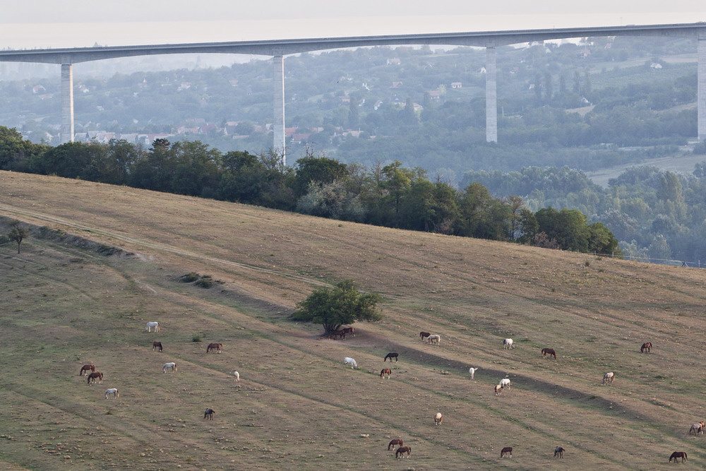 Viadukt, más nézőpontból