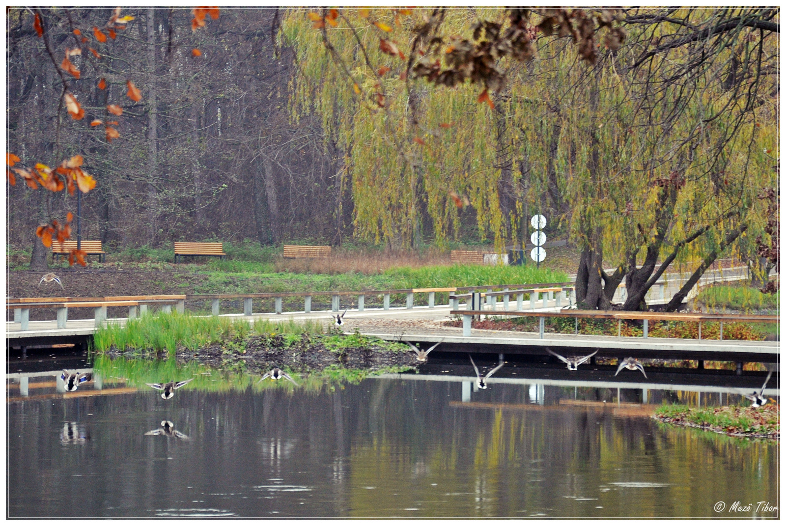 Békás tó Debrecen