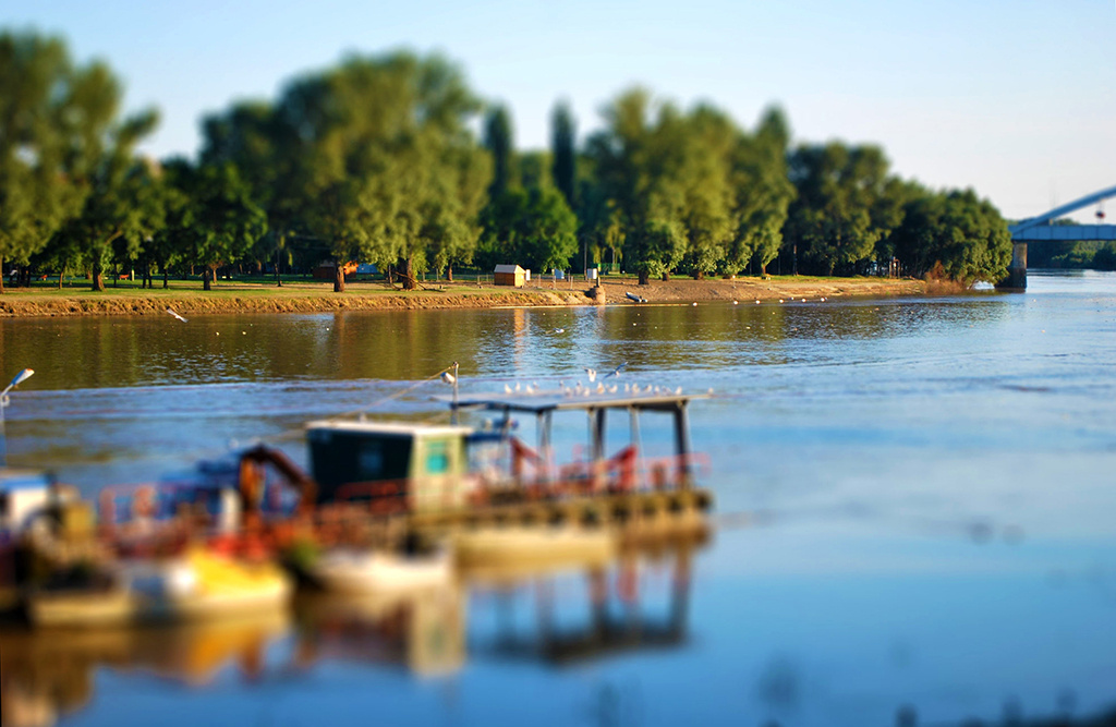 0137 tiltshift