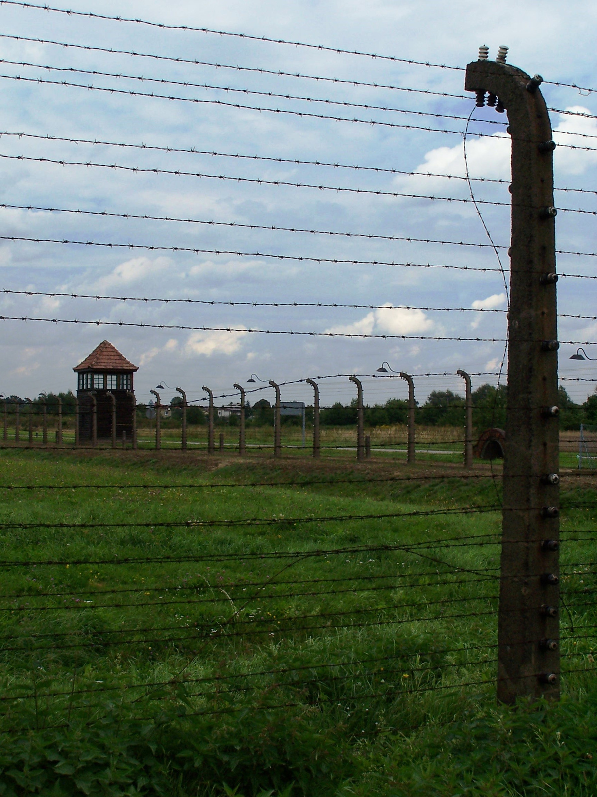 Auschwitz-Birkenau (93)