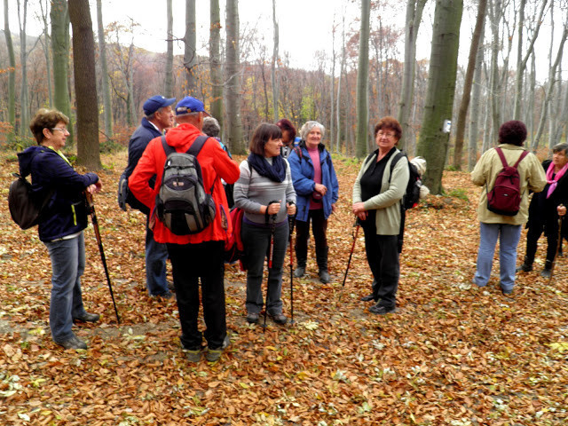 157.Remete-rét felé 2015.11.10.jpg