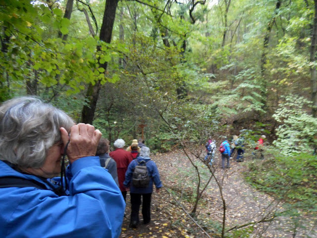 011.Lenkei pihenőnél (Hajni képe) 2015.10.13.jpg