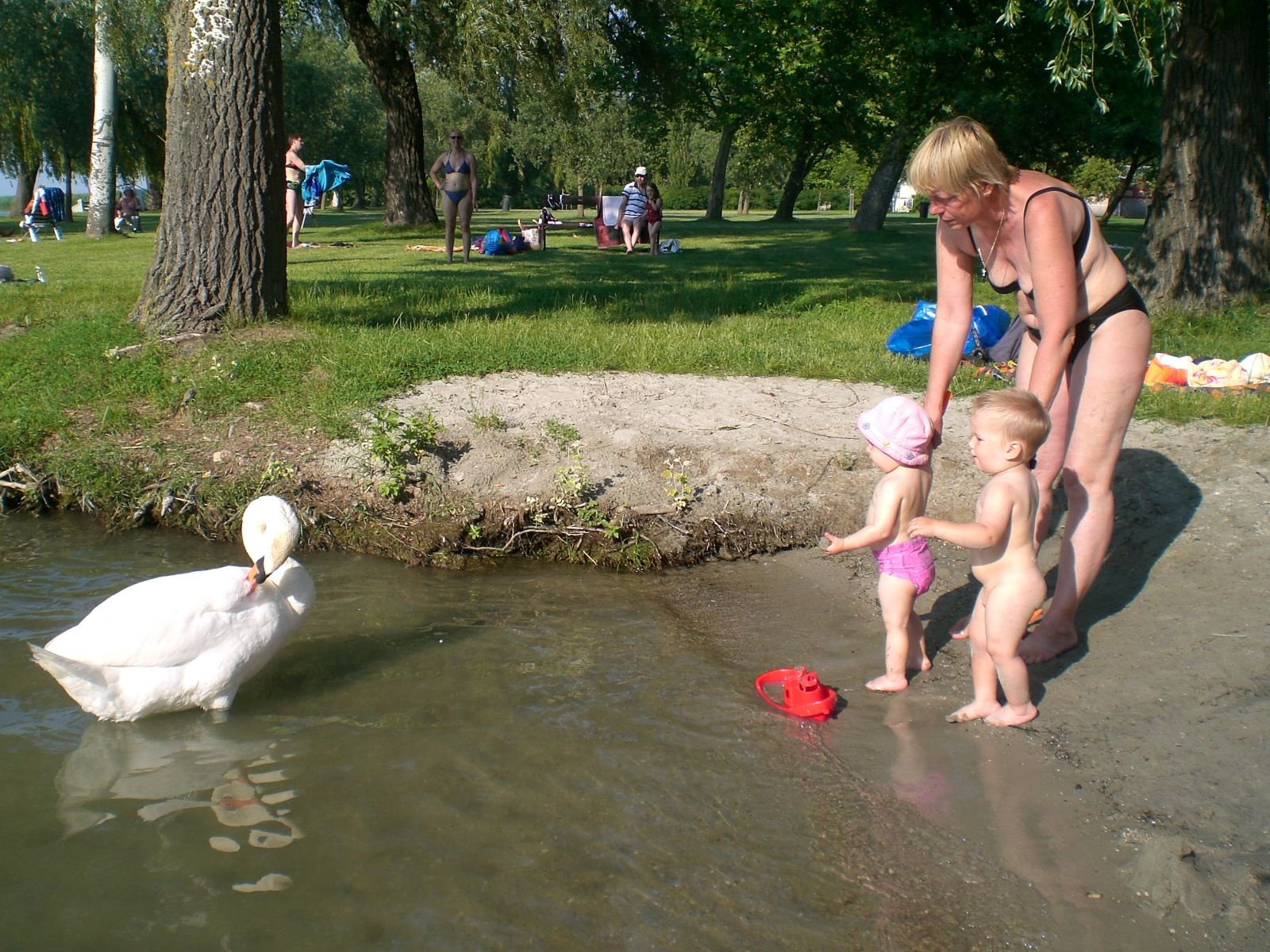 balaton 2008 06 091