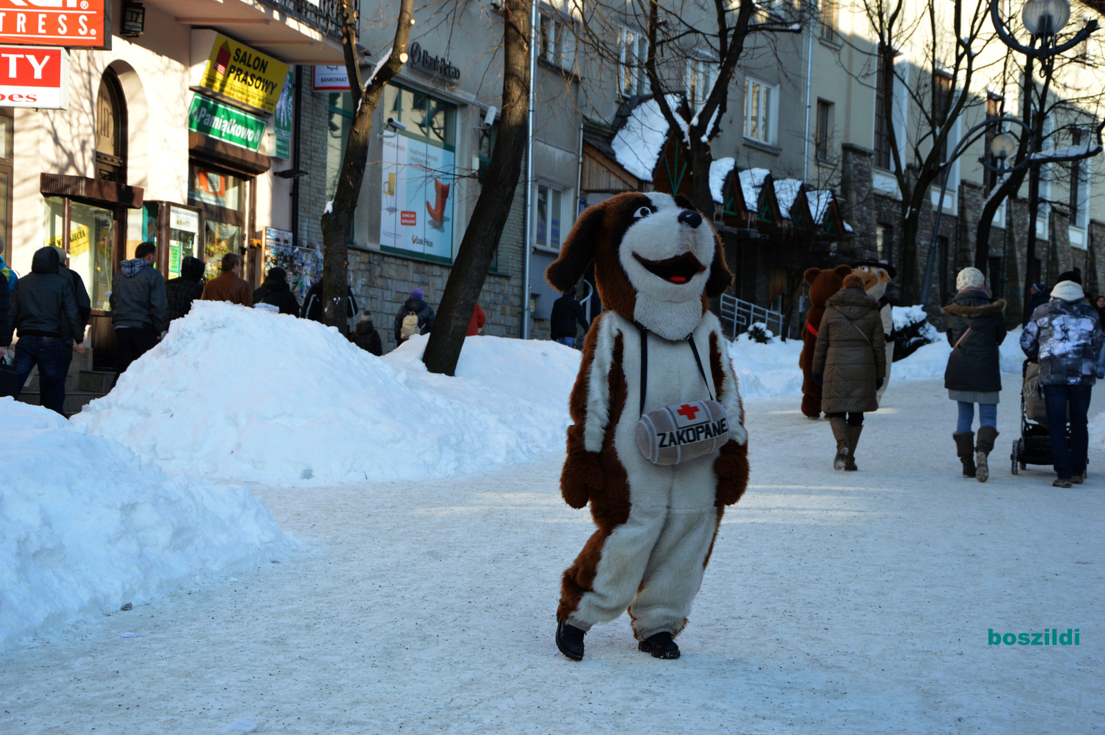 DSC 1037 Zakopane