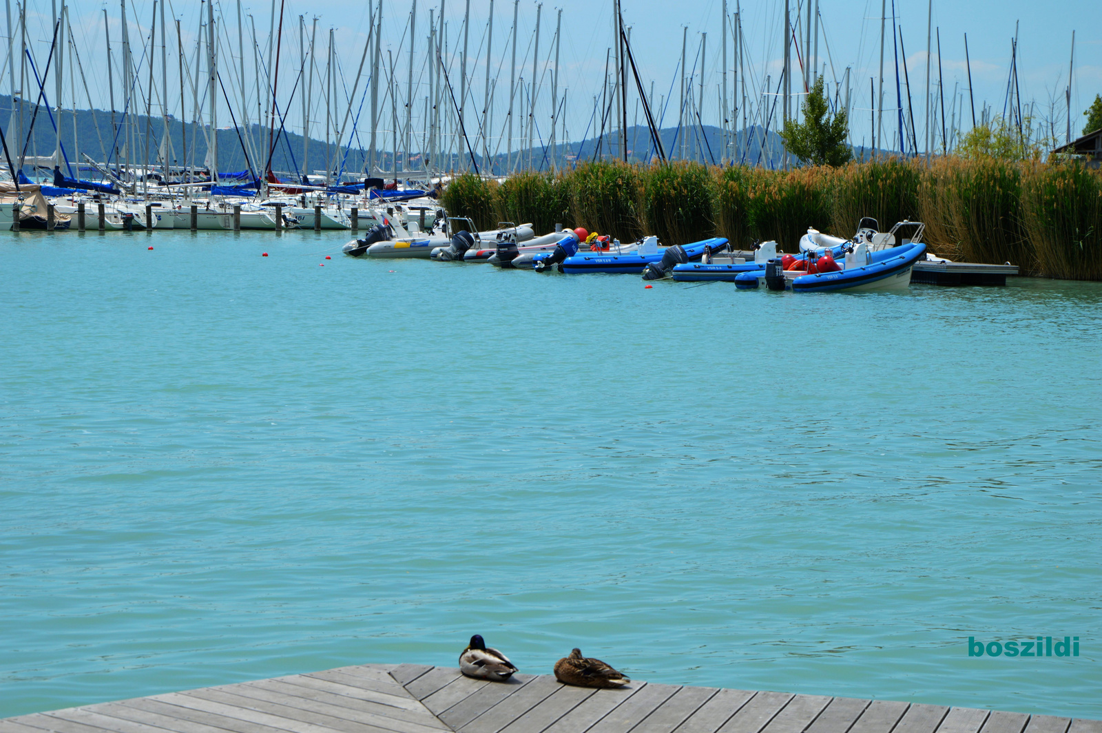 DSC 7248 Balatonfüred