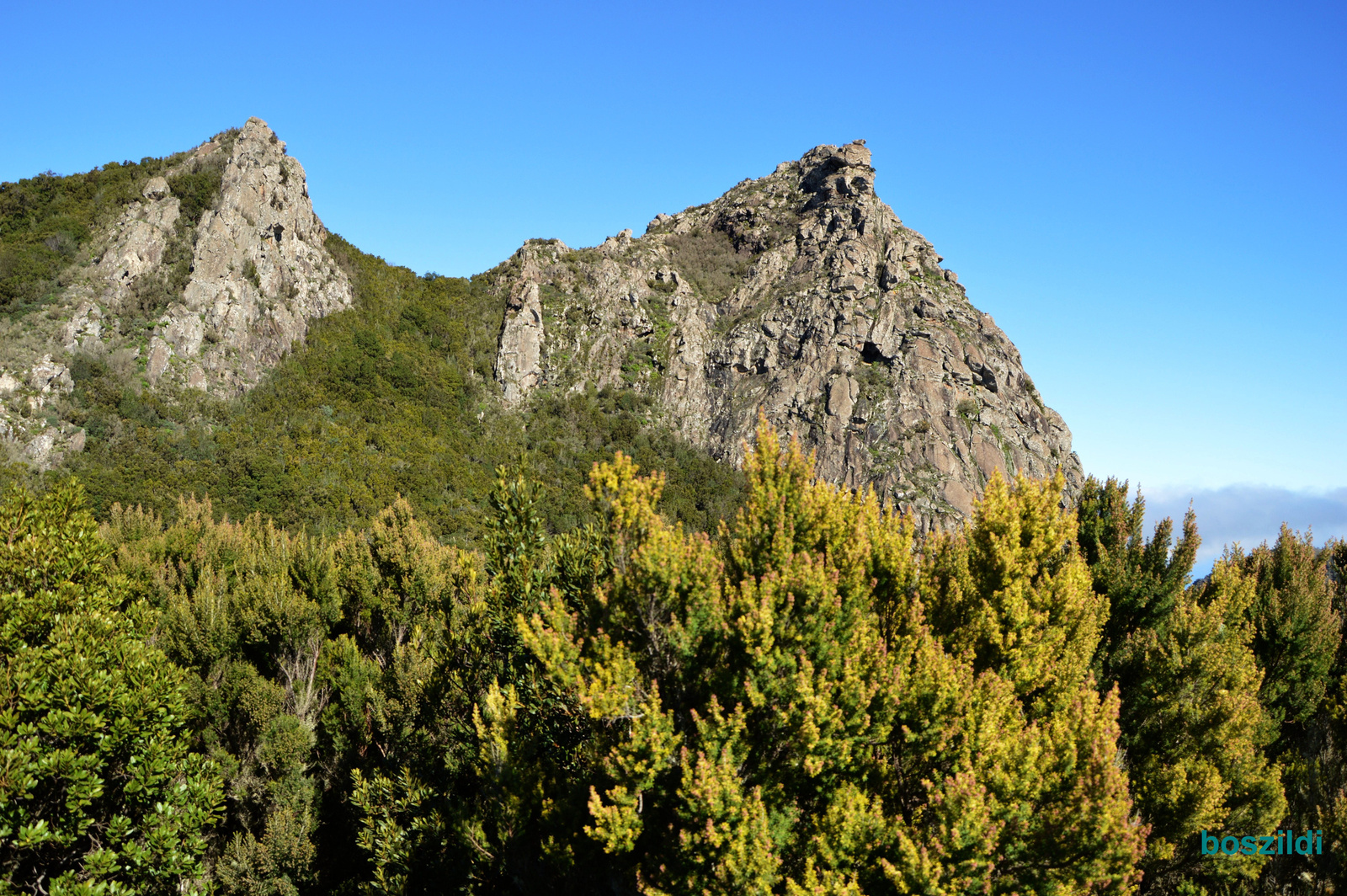 DSC 6144 La Gomera