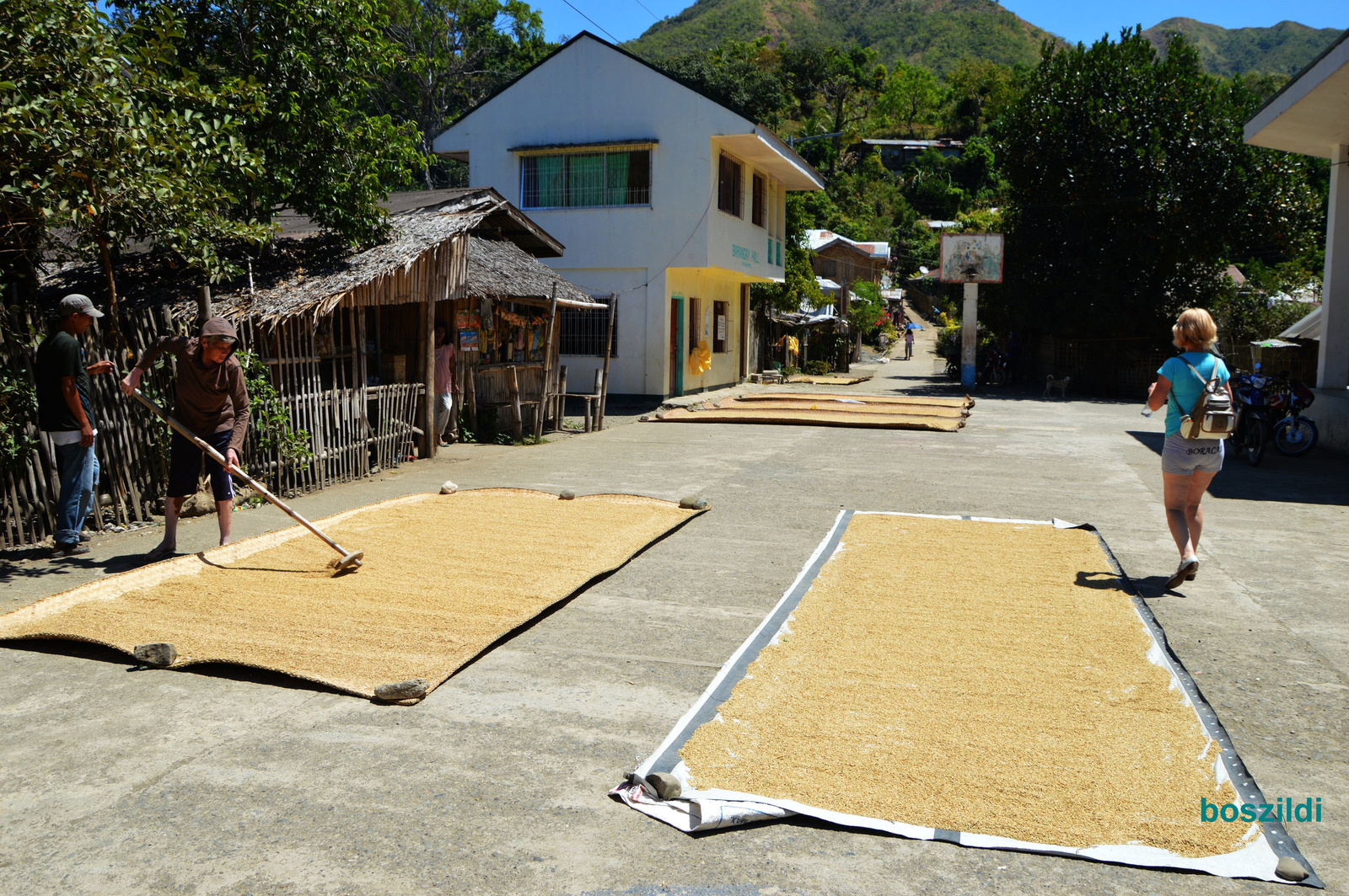 rizsszárítás Panay-szigeten
