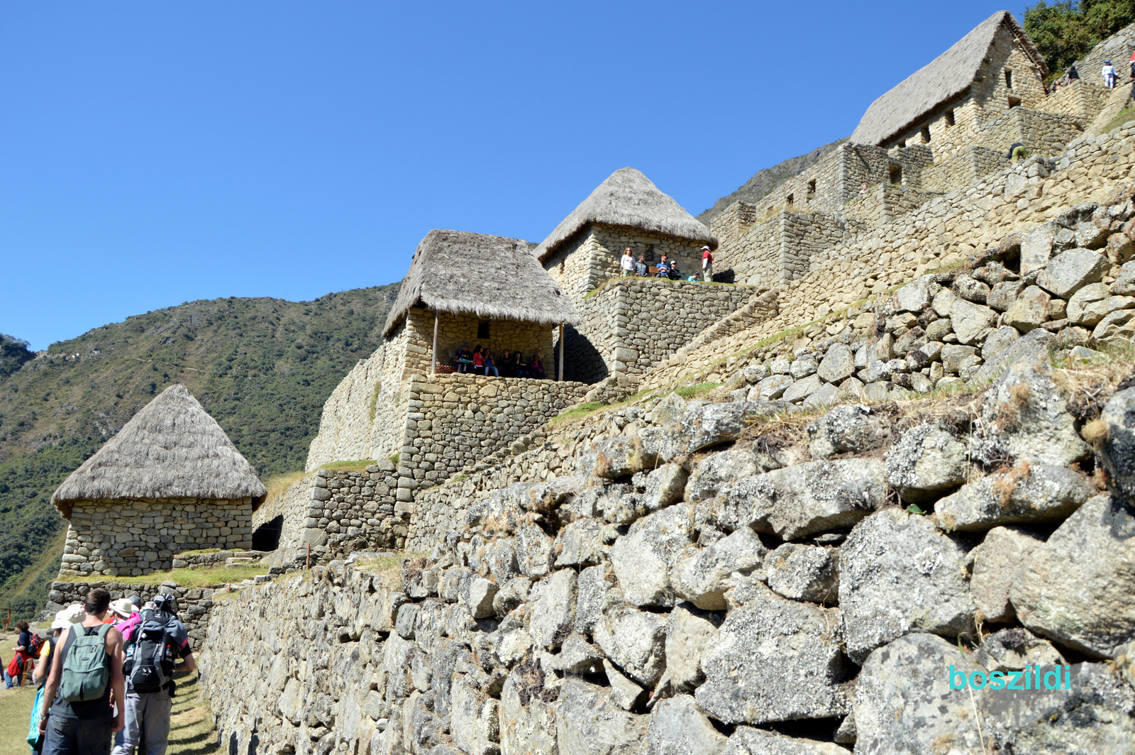 DSC 9879 Machu Picchu