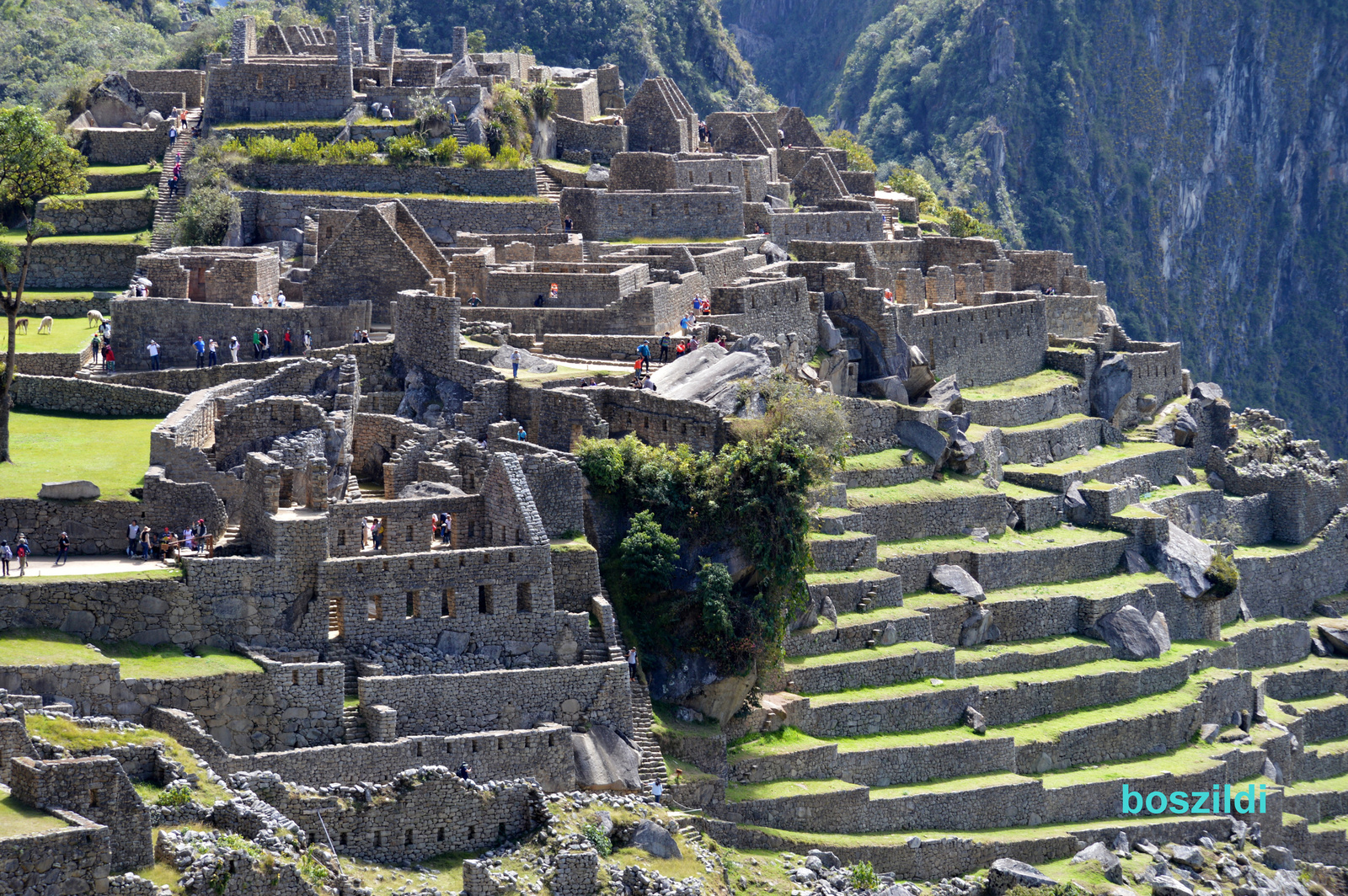 DSC 9936 Machu Picchu