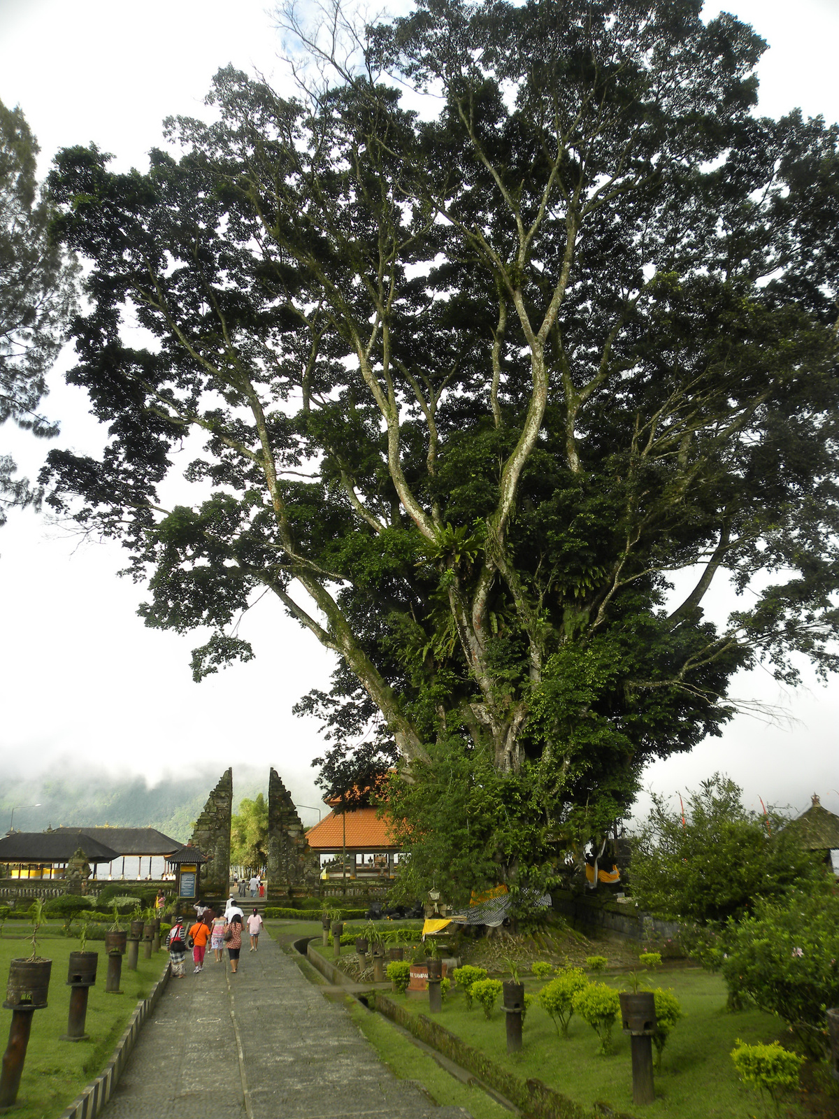 Bedugul, Bratan-tó