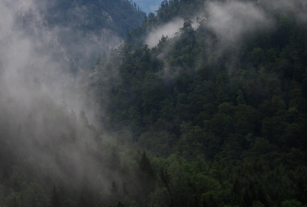 20110728 007 Höllental, AT