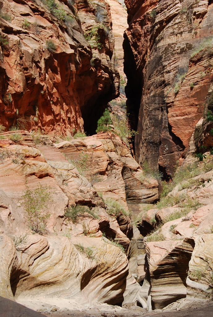 us08 0751 Zion NP, UT