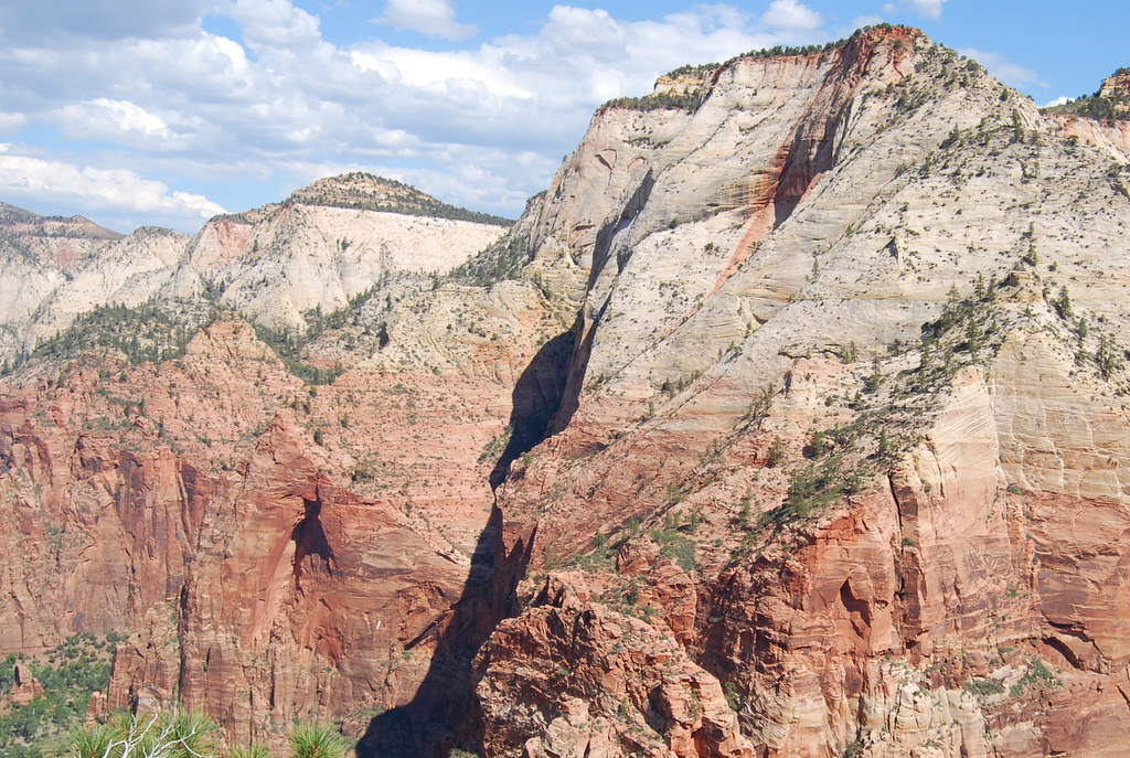 us08 0792 Zion NP, UT