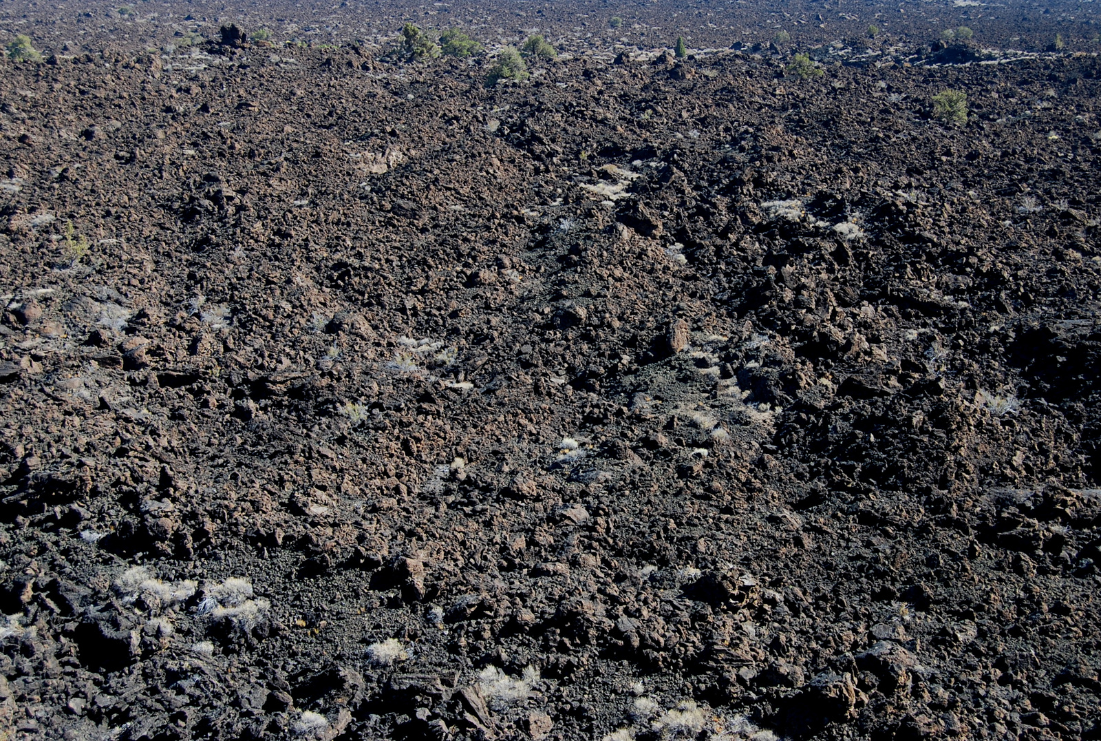 US12 0917 001 Devil's Homestead, Lava Beds NM, CA