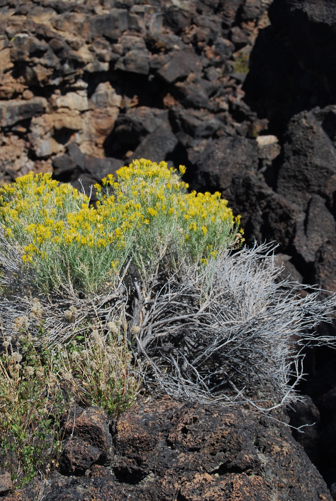 US12 0917 014 Lava Beds NM, CA