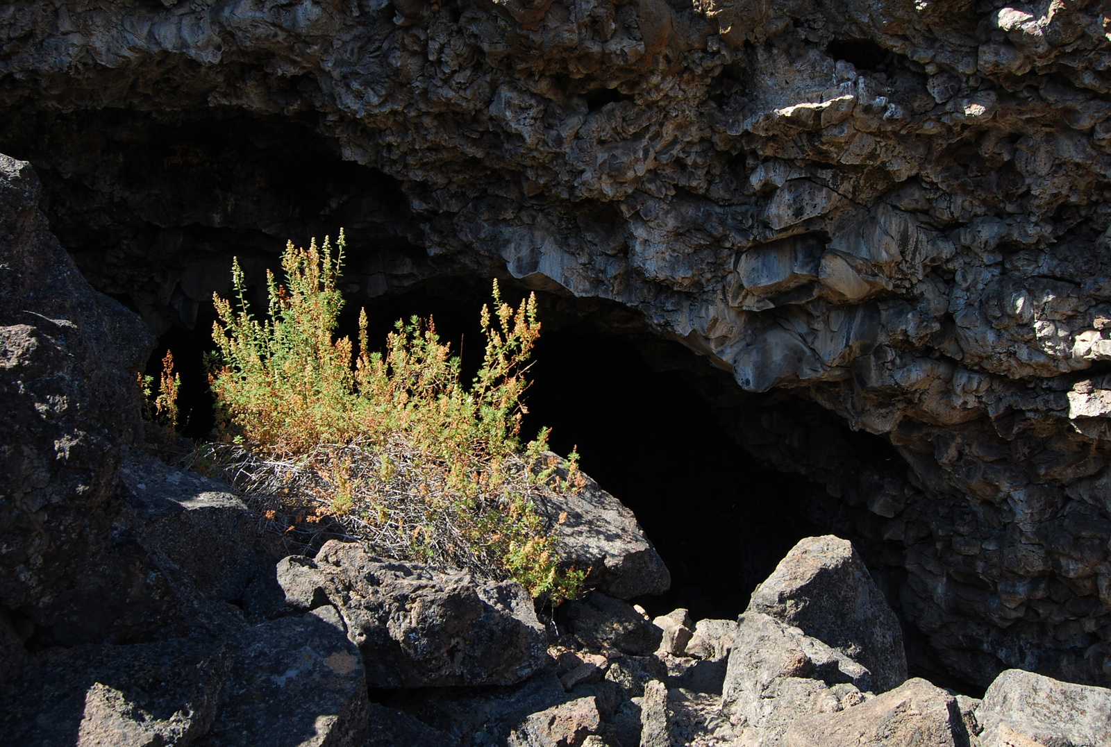 US12 0917 045 Lava Beds NM, CA