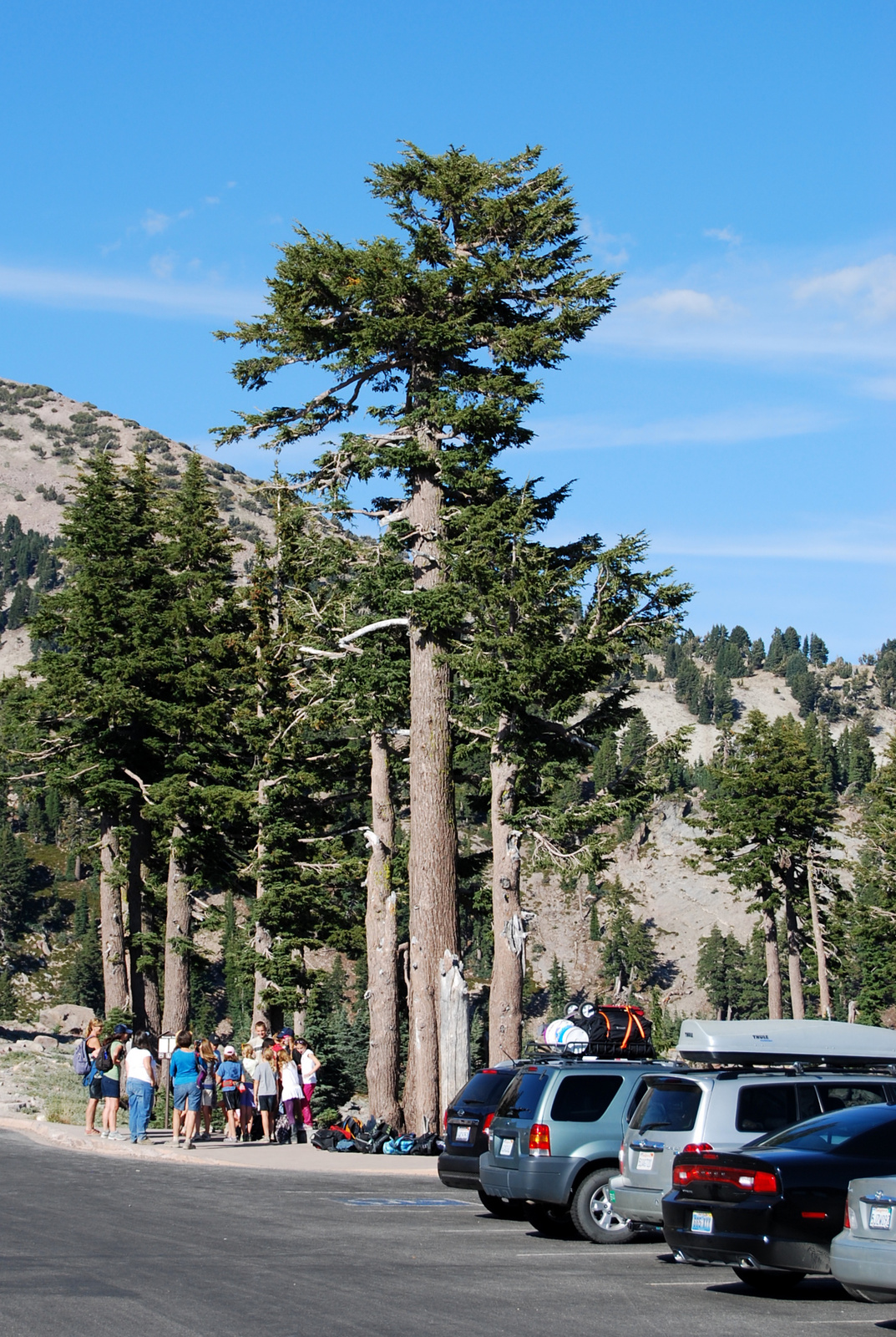 US12 0918 070 Lassen NP, CA