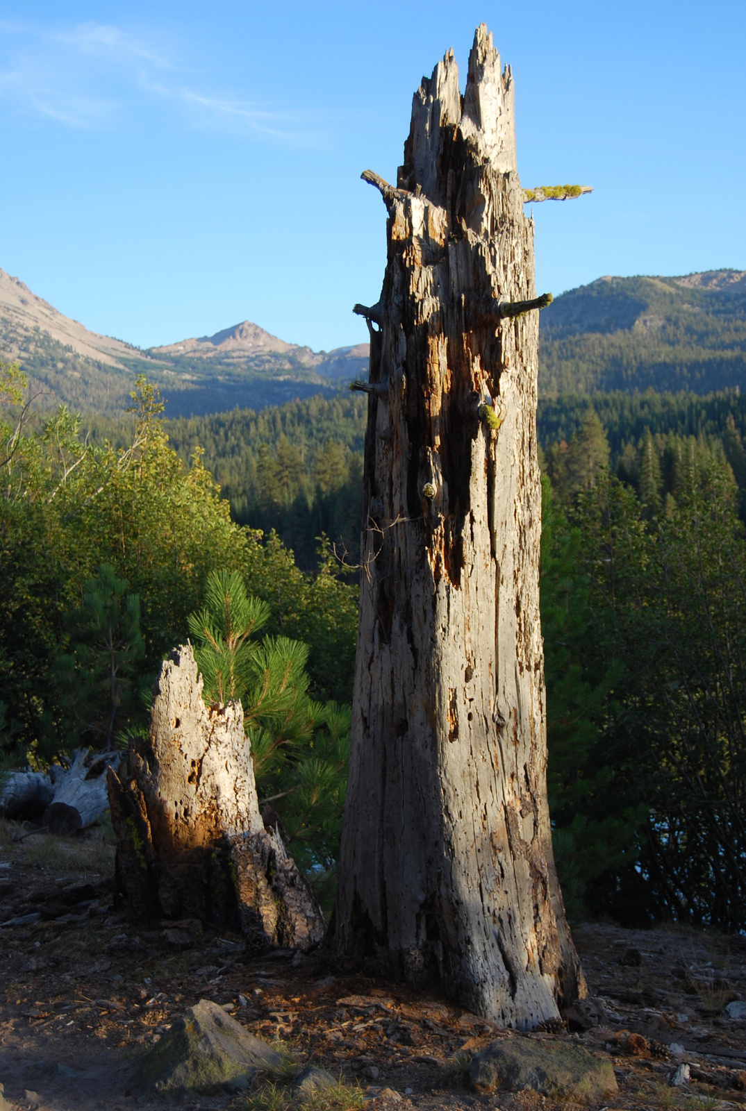 US12 0918 086 Lassen NP, CA