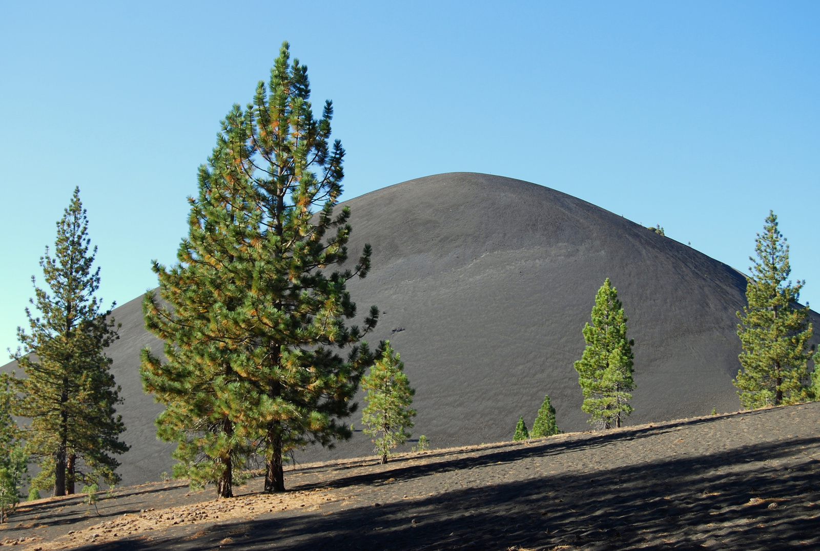 US12 0919 002 Cinder Cone, Lassen NP, CA