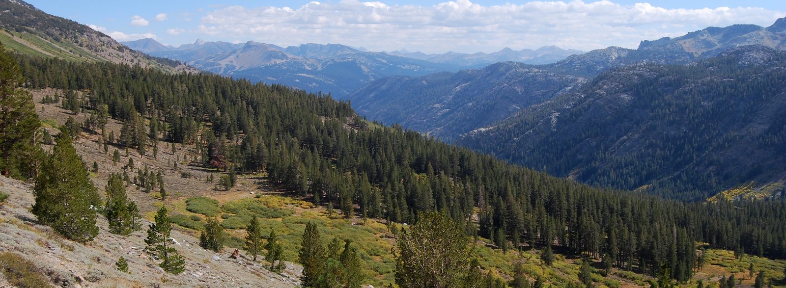 US12 0923 036 Agnew Pass Panorama, CA