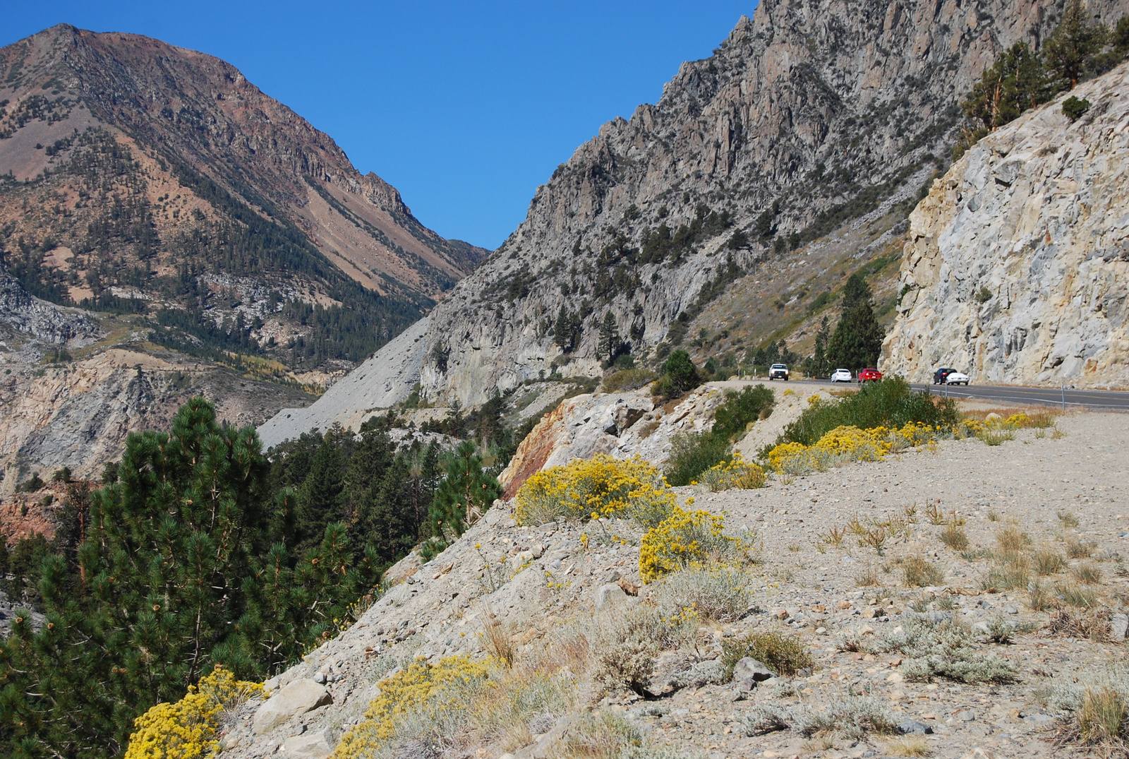 US12 0924 029 Tioga Pass, CA