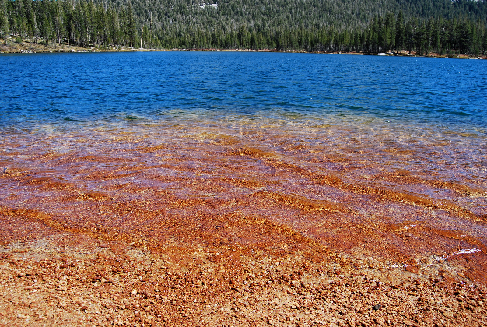 US12 0924 043 Elisabeth Lake, Yosemite NP, CA