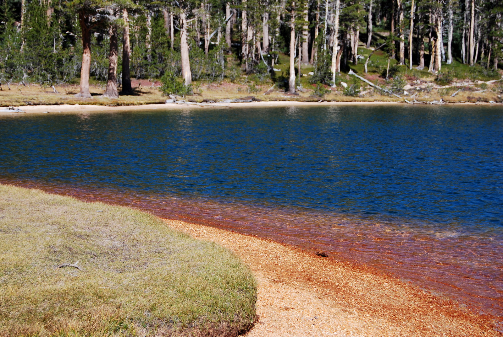 US12 0924 050 Elisabeth Lake, Yosemite NP, CA