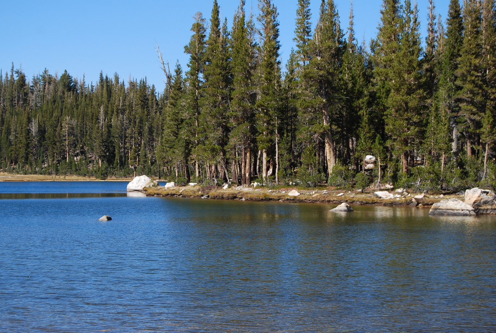 US12 0924 056 Elisabeth Lake, Yosemite NP, CA