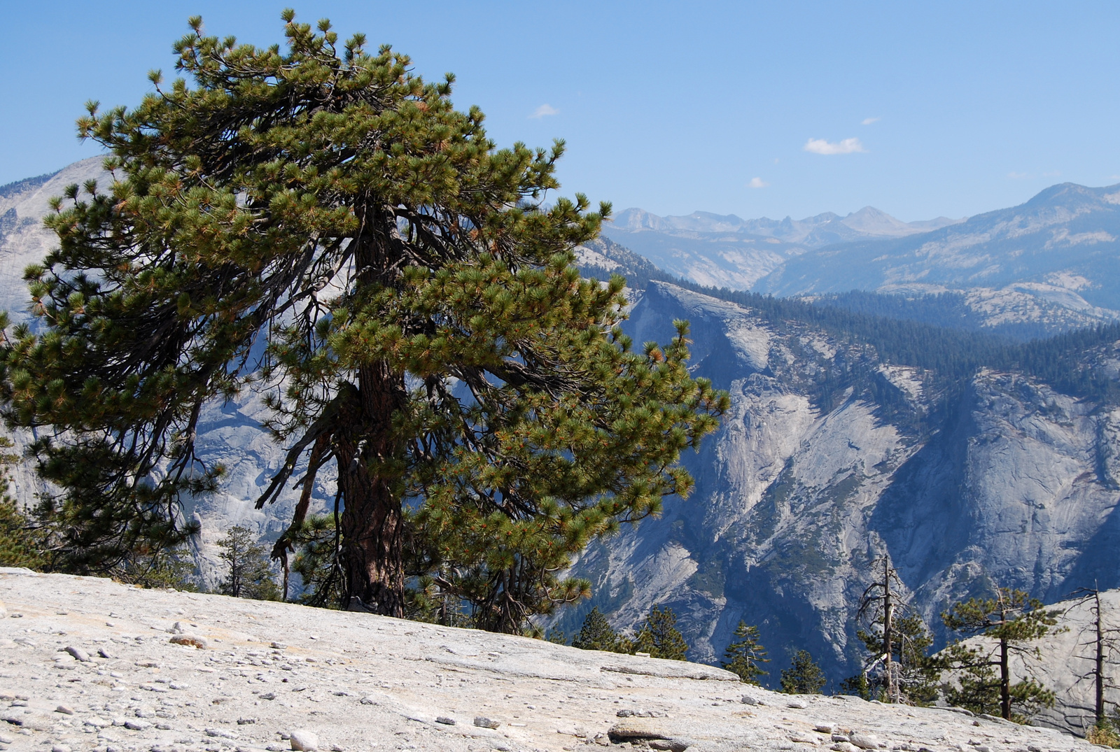 US12 0925 013 Yosemite NP, CA