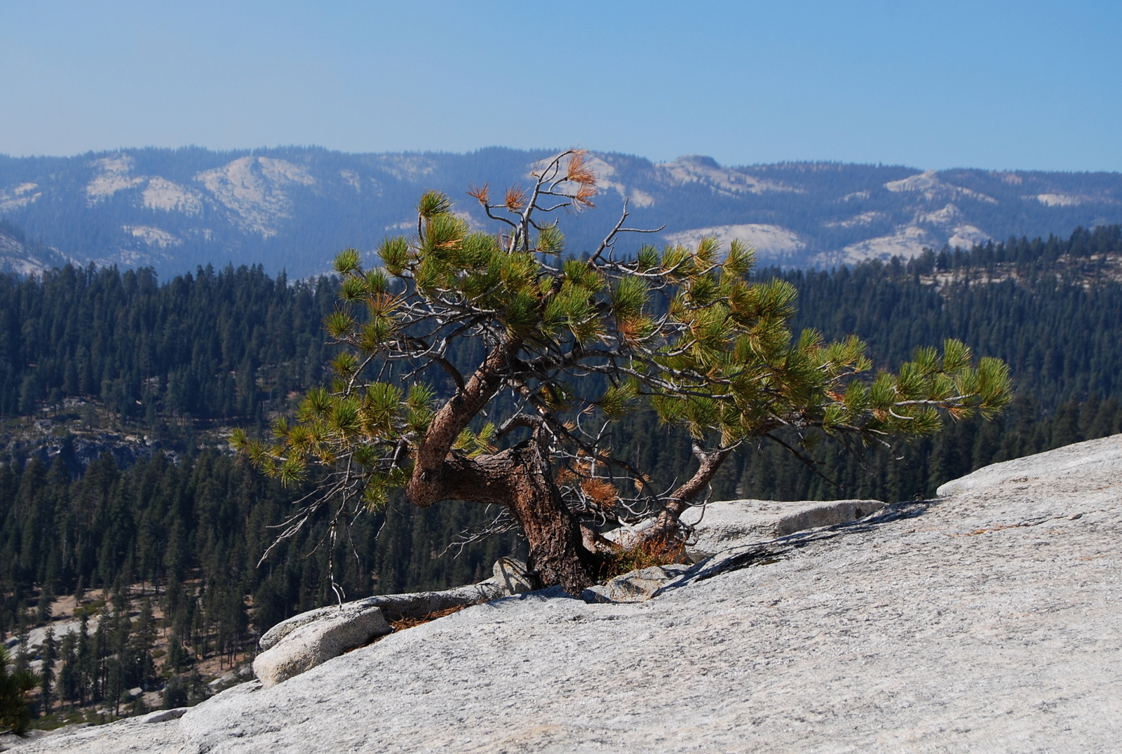 US12 0925 031 Yosemite NP, CA