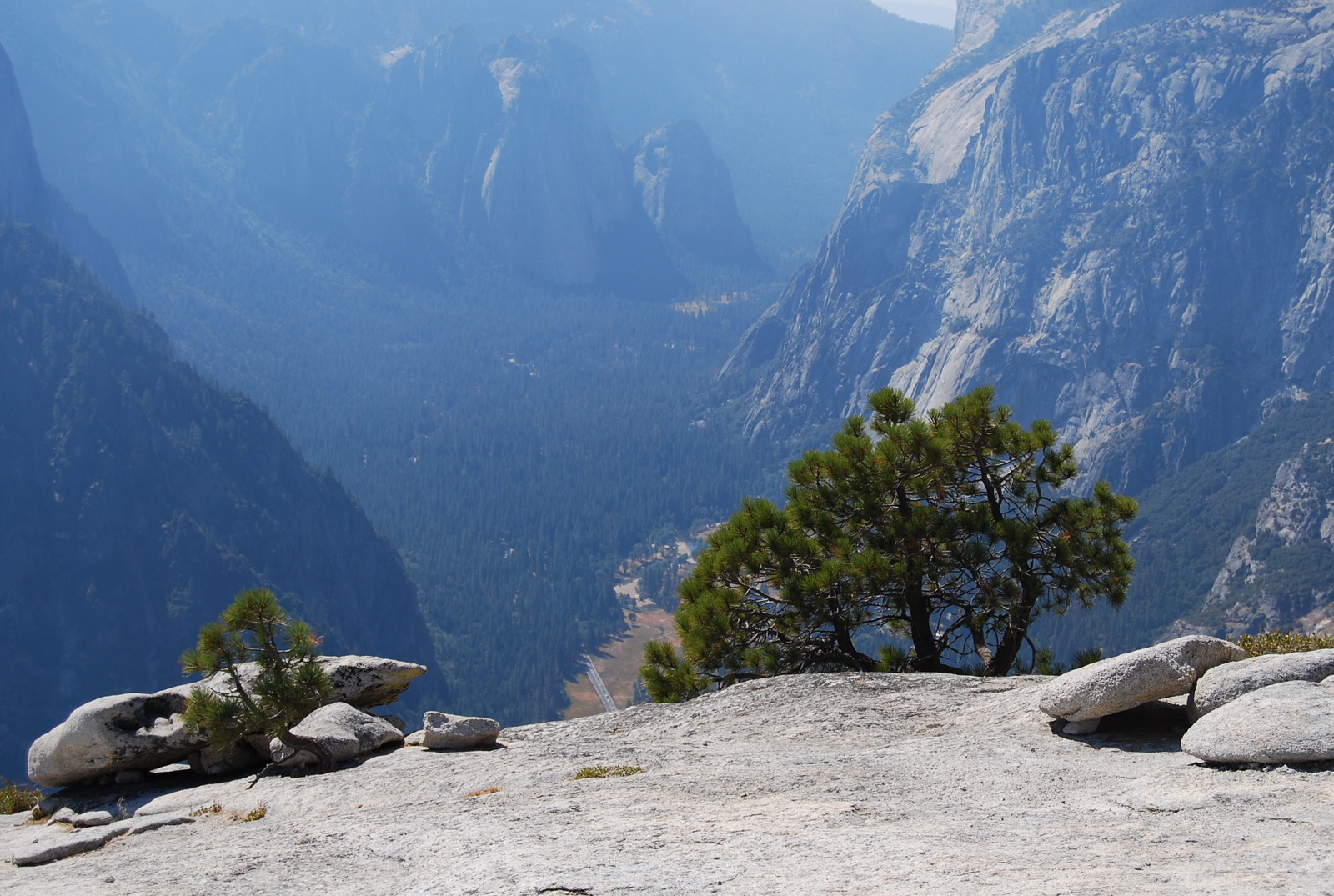 US12 0925 034 Yosemite NP, CA
