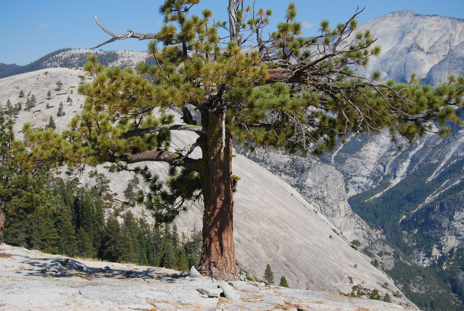 US12 0925 045 Yosemite NP, CA