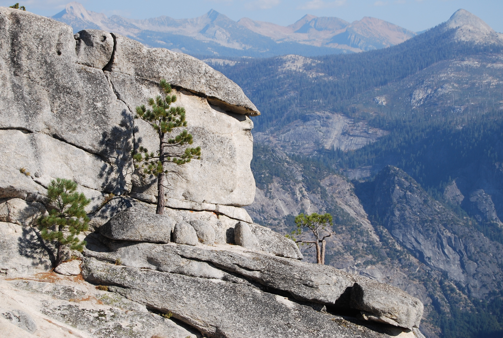 US12 0925 057 Yosemite NP, CA