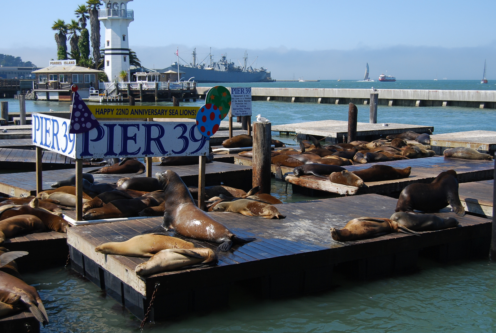 US12 0929 035 Pier 39, San Francisco, CA