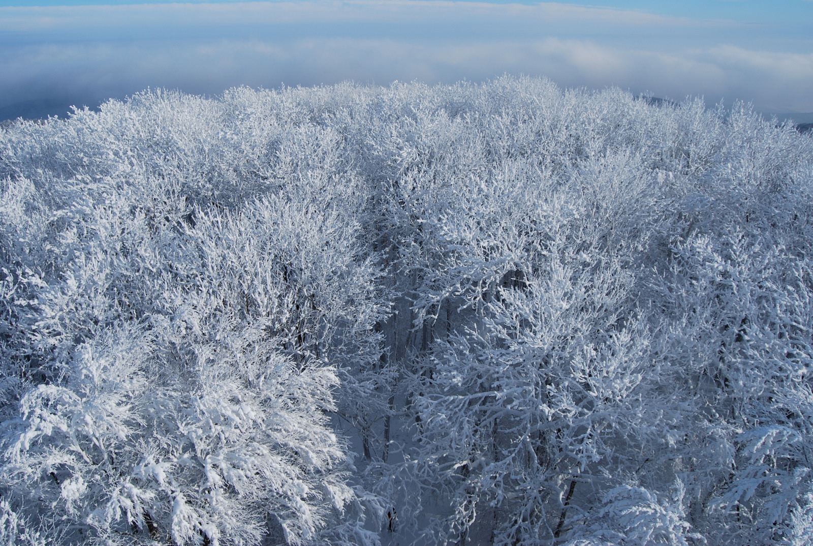 20130119 Börzsöny 072