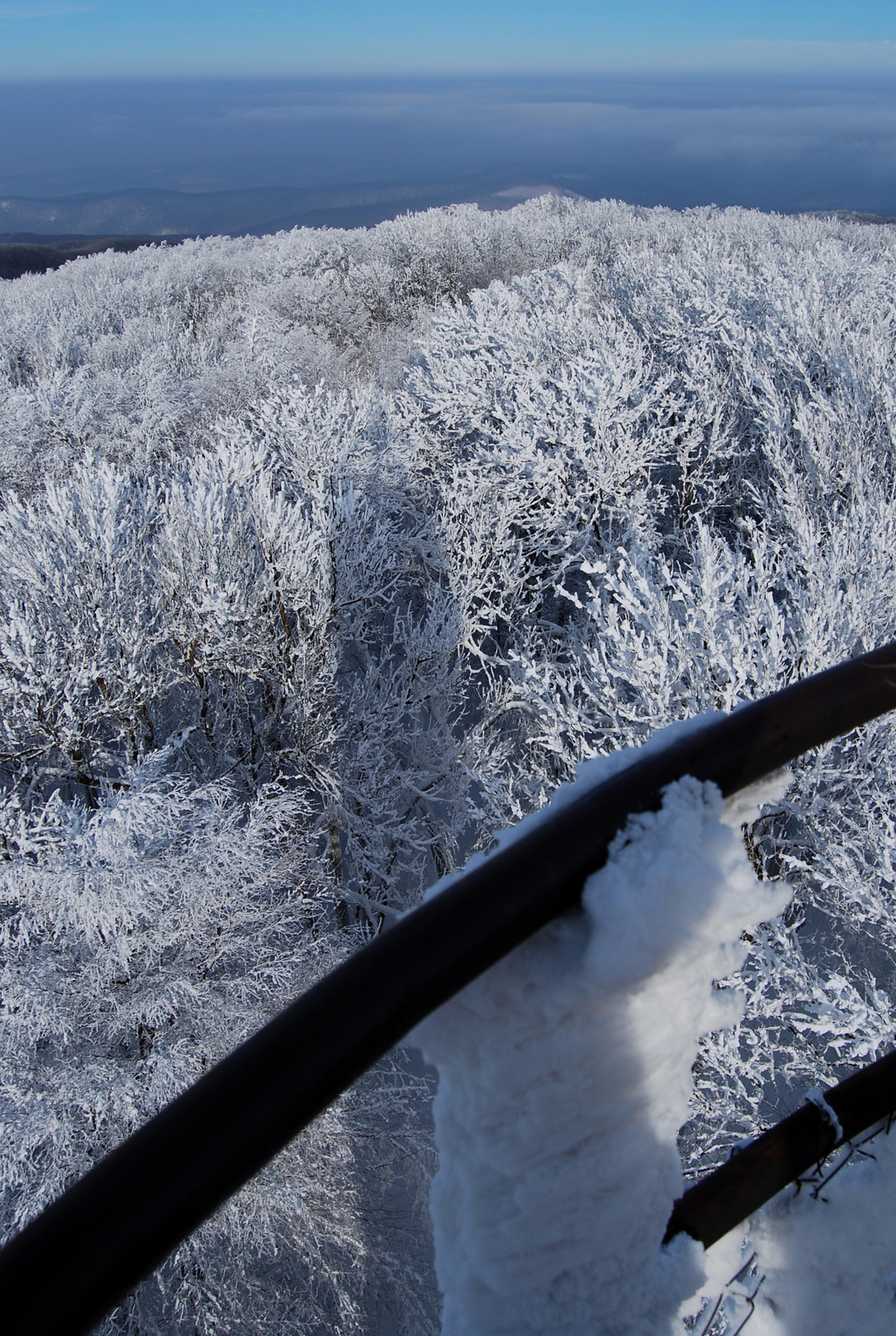 20130119 Börzsöny 083