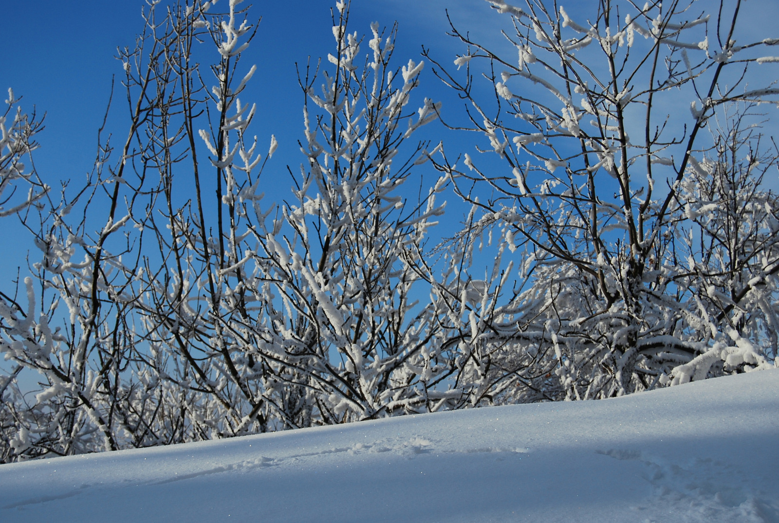 20130119 Börzsöny 097