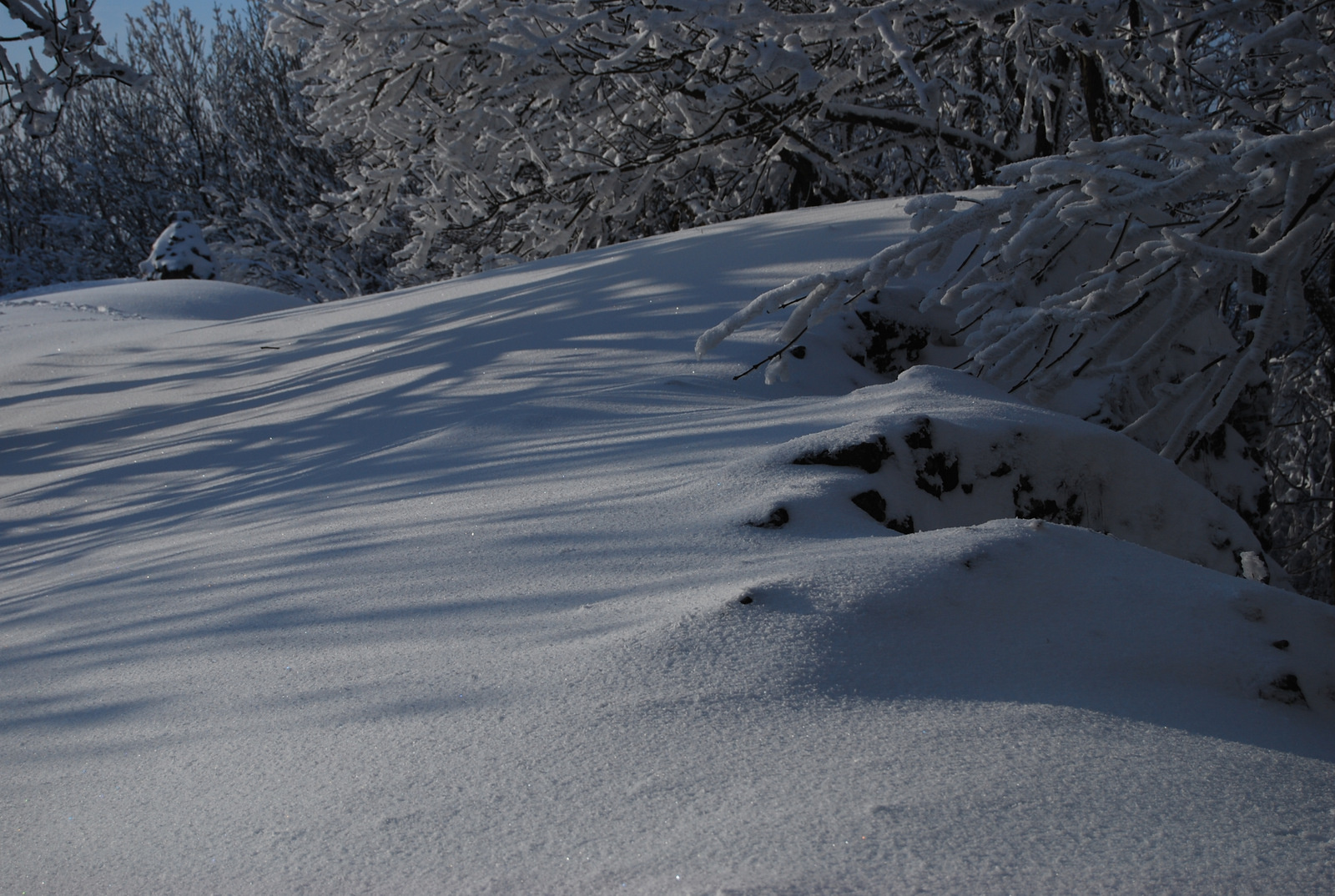 20130119 Börzsöny 106